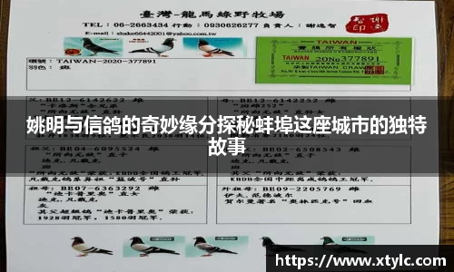 姚明与信鸽的奇妙缘分探秘蚌埠这座城市的独特故事