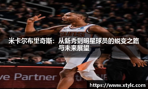 米兰·体育官方网站