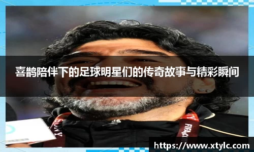 喜鹊陪伴下的足球明星们的传奇故事与精彩瞬间